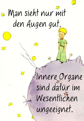 Man sieht nur mit den Augen gut. Innere Organe sind dafür im Wesentlichen ungeeignet.